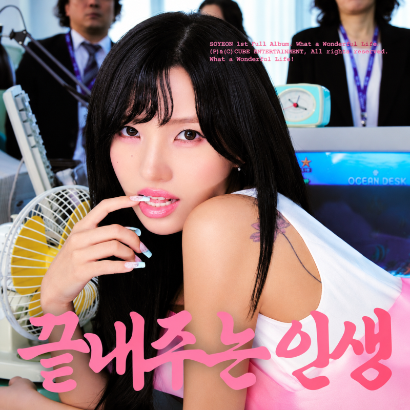 전소연 퇴사할게여 가사 뜻, 기안84를 택한 뜻밖의 이유