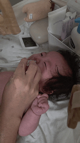 신생아 코막힘 그렁그렁｜코끼리뻥코 콧물흡입기 사용후기, 노시부 대신 선택한 이유