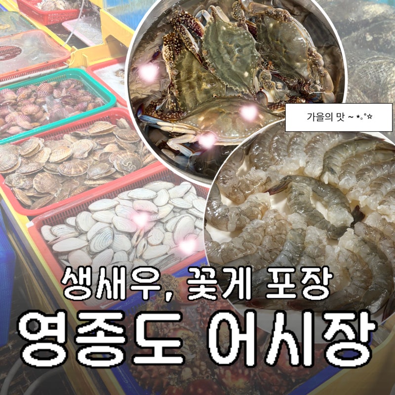영종도 구읍뱃터 어시장 : 진로수산 꽃게 생새우 포장 후기(가격, 서비스)