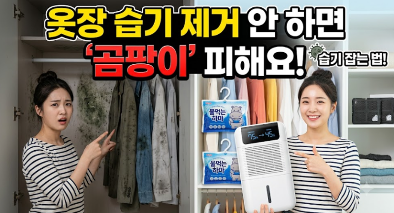 옷장 습기 제거 안 하면 곰팡이 핀 옷 마주하게 됩니다