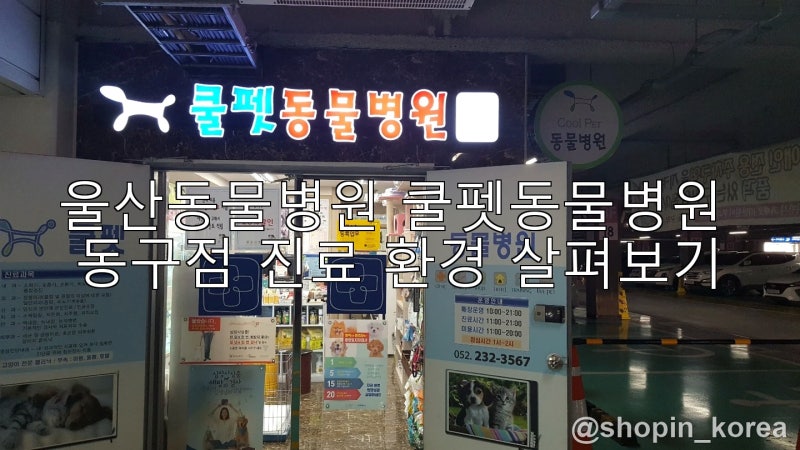 울산동물병원 쿨펫동물병원 동구점 진료 환경 살펴보기