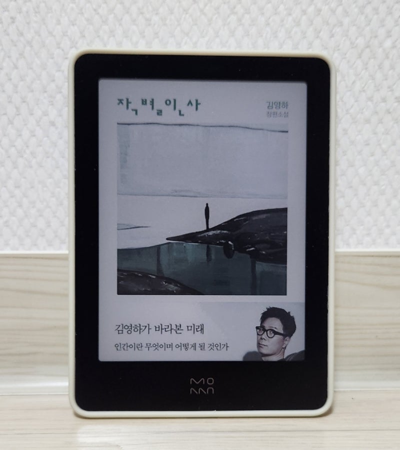 모안 팬톤6 이북리더기 후기 (+ 윌비 클립온 스트랩, 대연 젤리 케이스, 좀비 베리어 액정 필....