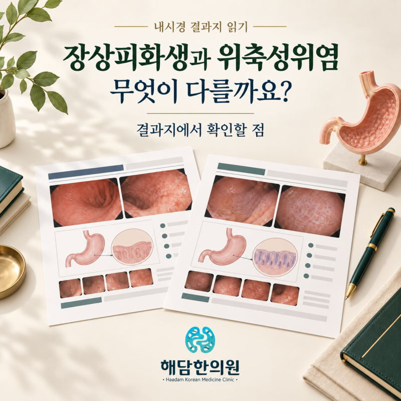장상피화생과 위축성위염, 무엇이 다를까요? 내시경 결과에서 확인할 점