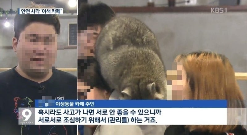 9년 전 KBS 뉴스 출현? 파주 카페 8794, 상호명에 숨겨진 87·94 부부의 비하인드