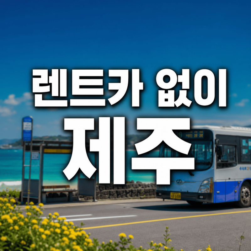 제주 렌트카 없이 여행하는 법 — 버스·택시·전세버스 현실 비교