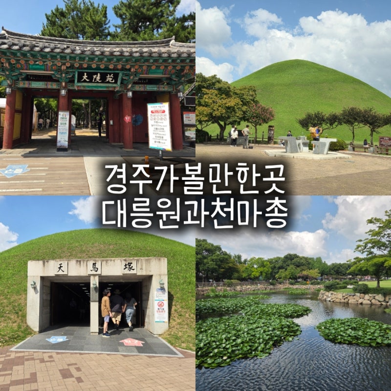 경주 황리단길 가볼만한곳 대릉원 천마총 방문 후기 (주차·미디어아트 행사 정보)