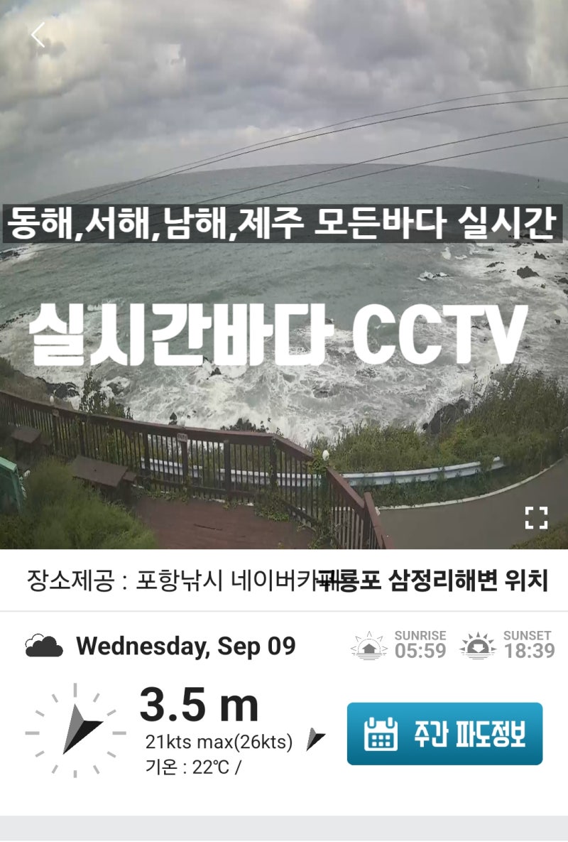 나만 쓰기엔 아깝다? 실시간 바다cctv 바다낚시,서핑,스노클링,바다여행 필수 어플