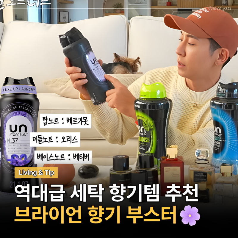 빨래 냄새 용서 못 해! 브라이언 향기 부스터 역대급 세탁 향기템 추천