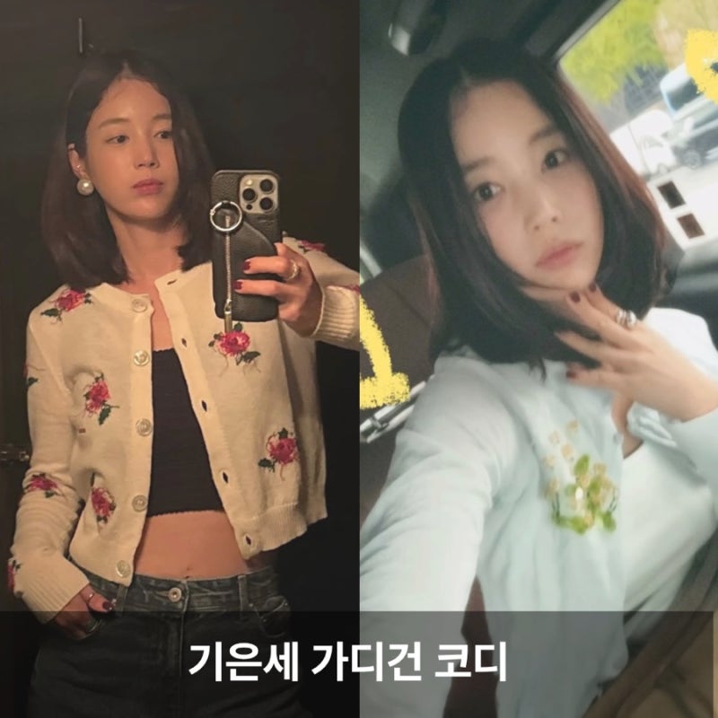 기은세 가디건 코디, 슈슈통 꽃자수 가디건 가격은?