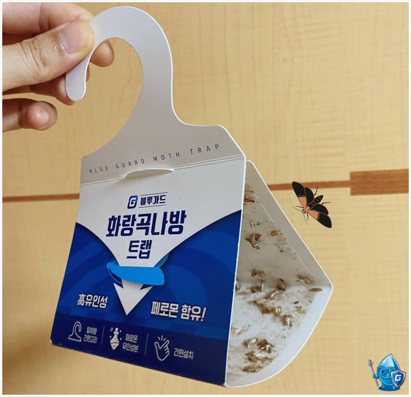 쌀통 속 쌀벌레는 왜 생길까? 몸에 해롭진 않을까?(화랑곡나방 퇴치법)