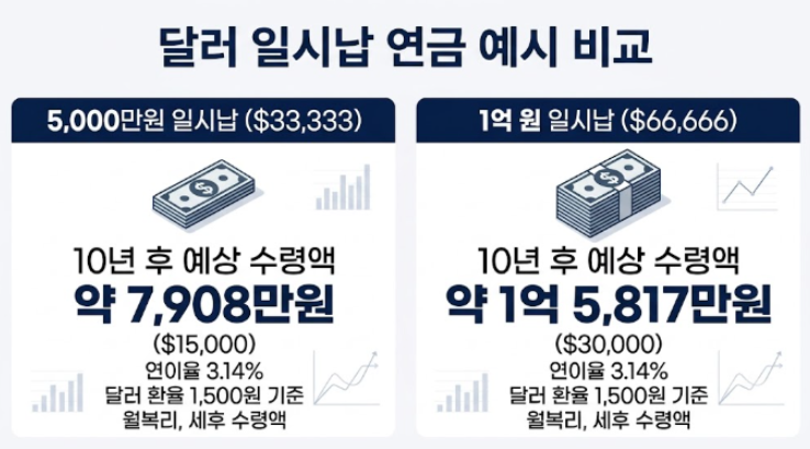 확정수익으로 든든하게! 미국 달러 연금보험으로 노후 준비와 달러 투자 한 번에 끝내기