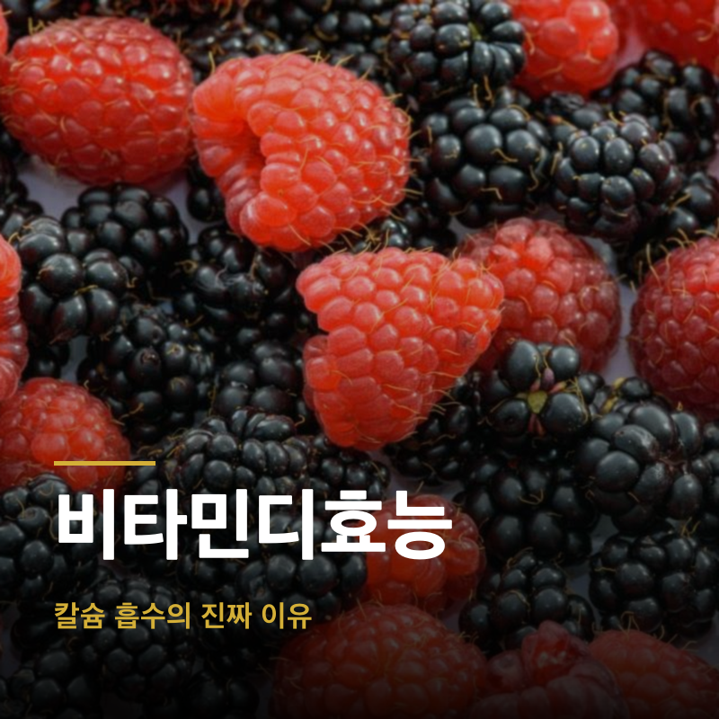 비타민디효능, 칼슘 흡수의 진짜 이유