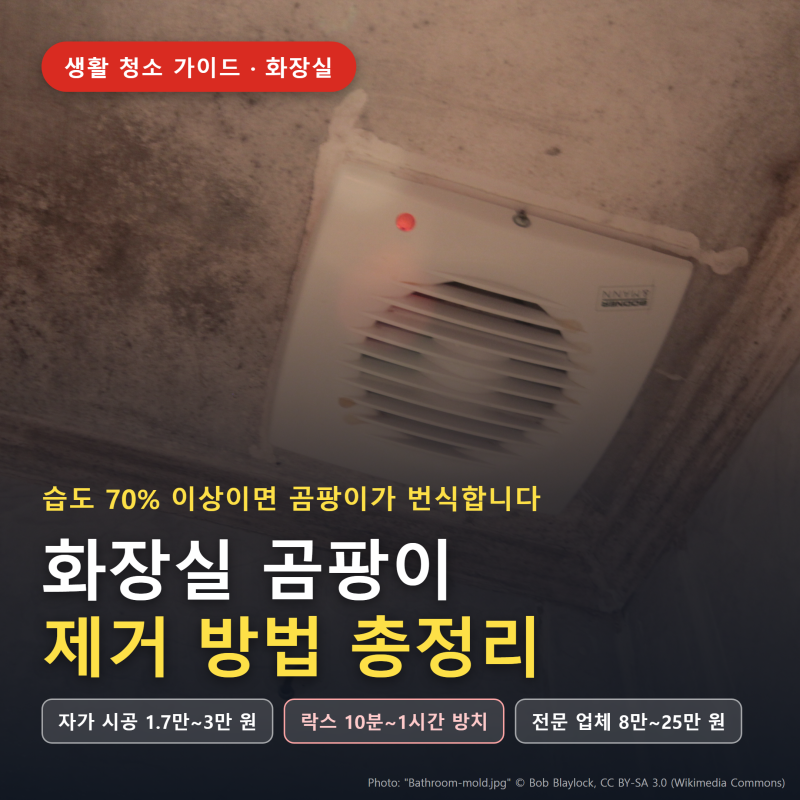 화장실 곰팡이, 결국 이 방법으로 다 없앴습니다
