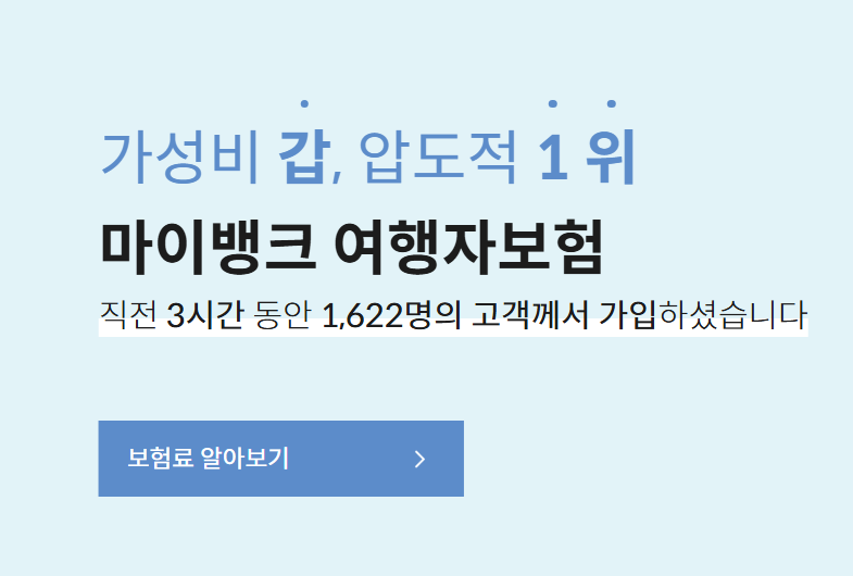 내돈내산 '마이뱅크' 여행자해외보험 넣기 치앙마이 3박5일 엄마랑 자유여행(할인방법) 준비....