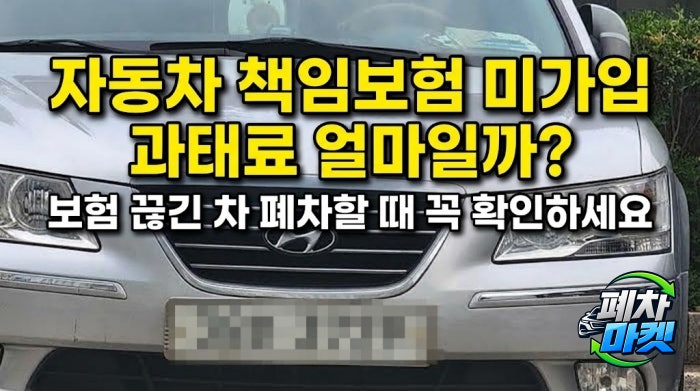자동차 책임보험 미가입 과태료 얼마일까? 보험 끊긴 차 폐차할 때 꼭 확인하세요