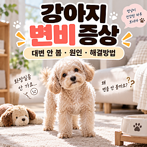 강아지 변비 증상(대변 안 봄, 배변주기, 원인, 해결방법)