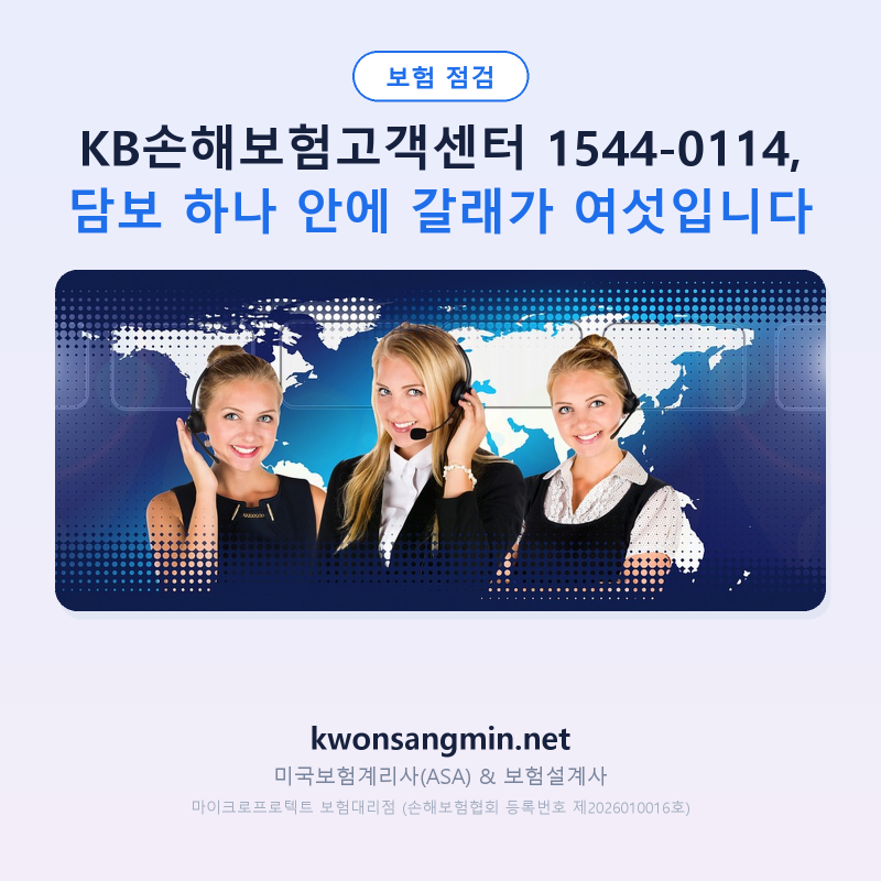 KB손해보험고객센터 1544-0114, 담보 하나 안에 갈래가 여섯입니다