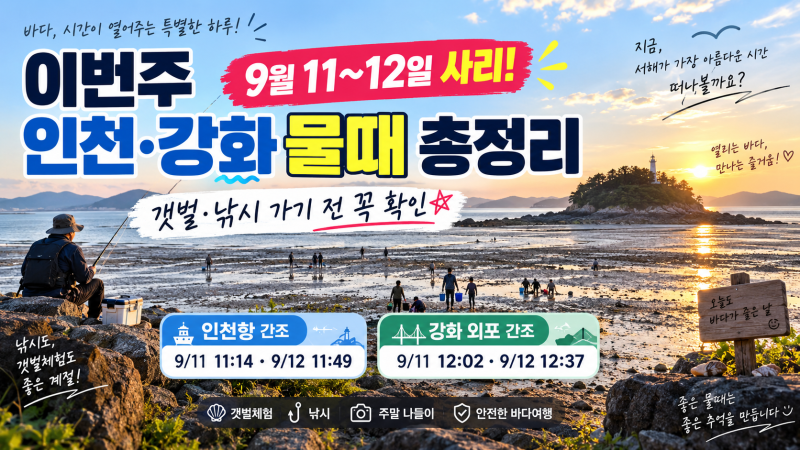 이번주 인천·강화 물때 총정리｜9월 11~12일 사리, 갯벌·낚시 가기 전 꼭 확인