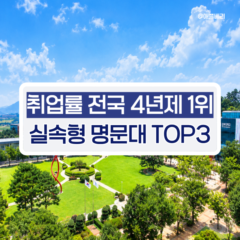 '대학 입결 순위 믿다간 큰일납니다' 취업률 80% 넘는 실속형 명문대 TOP3