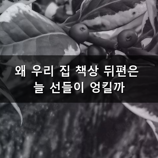 지저분한 멀티탭과 선들 어떻게 감출까? 깔끔한 전선 정리 노하우
