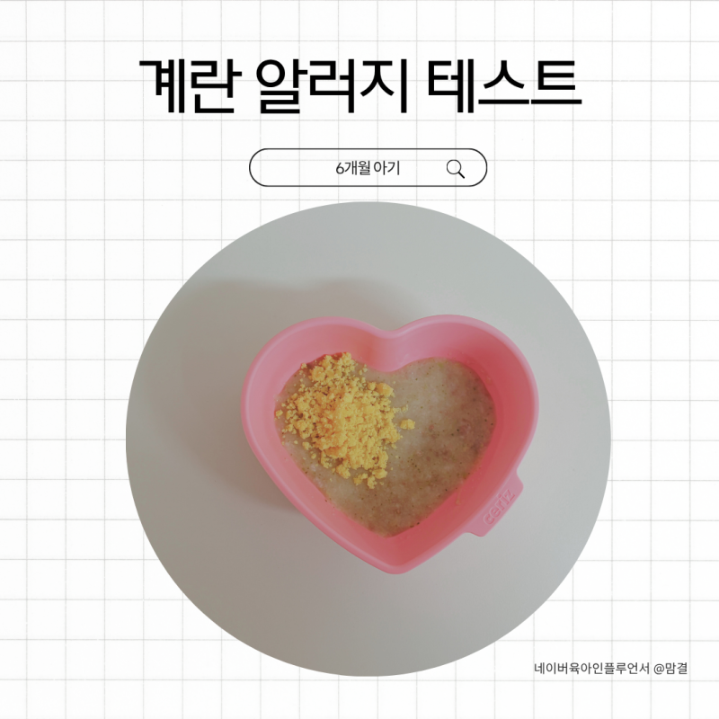 6개월 아기 계란 알러지 테스트 시기, 첫날 양부터 먹이는 방법까지