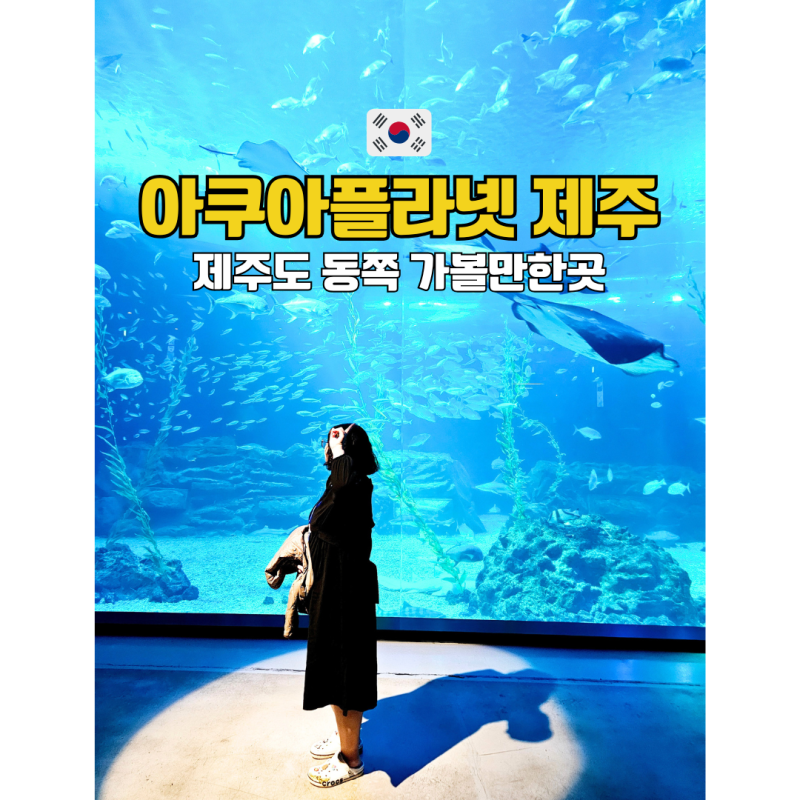 제주도 동쪽 가볼만한곳 아쿠아플라넷 제주 입장권 할인 공연시간