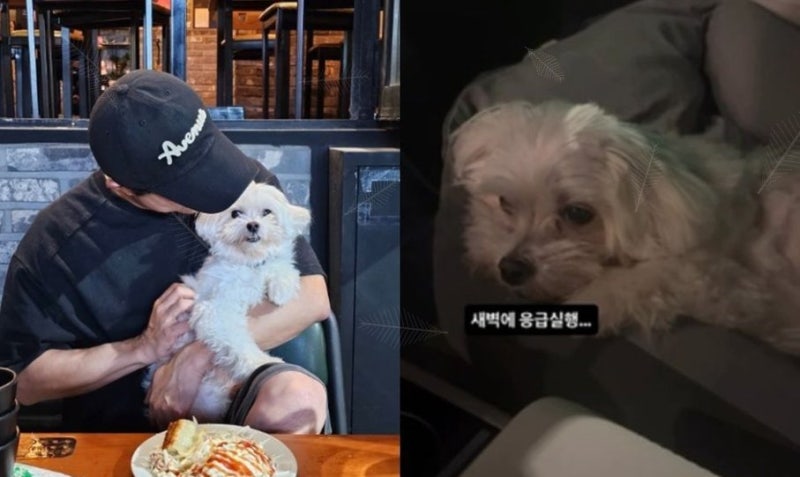 박성광 반려견 광복이 응급실行, 이솔이 암 투병 SNS에 담긴 근황