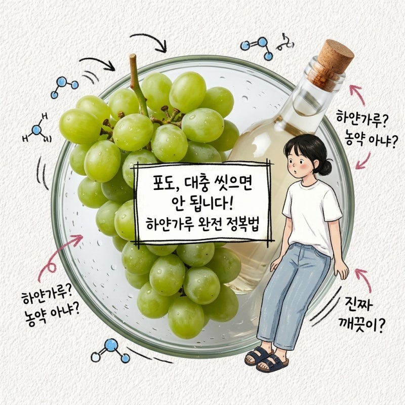 포도 대충 씻어 먹었다면 꼭 알아야 할 것 하얀가루 세척법과 상한 포도 구별법