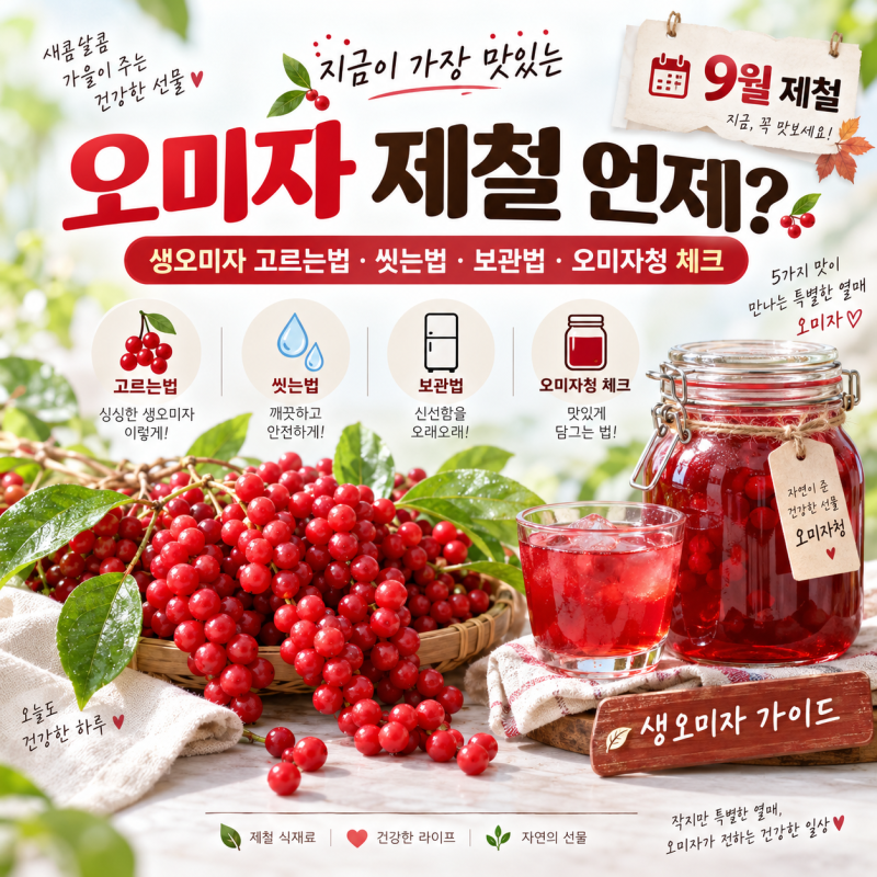 오미자 제철 언제? 생오미자 고르는법·씻는법·보관법·오미자청 만들기 전 체크