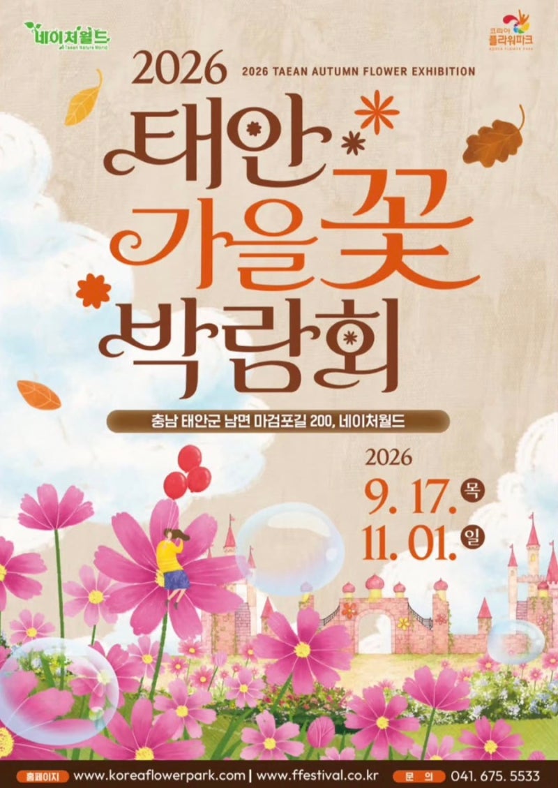 2026 태안 가을꽃박람회, 낮엔 국화밭 밤엔 빛으로 물드는 가을 명소