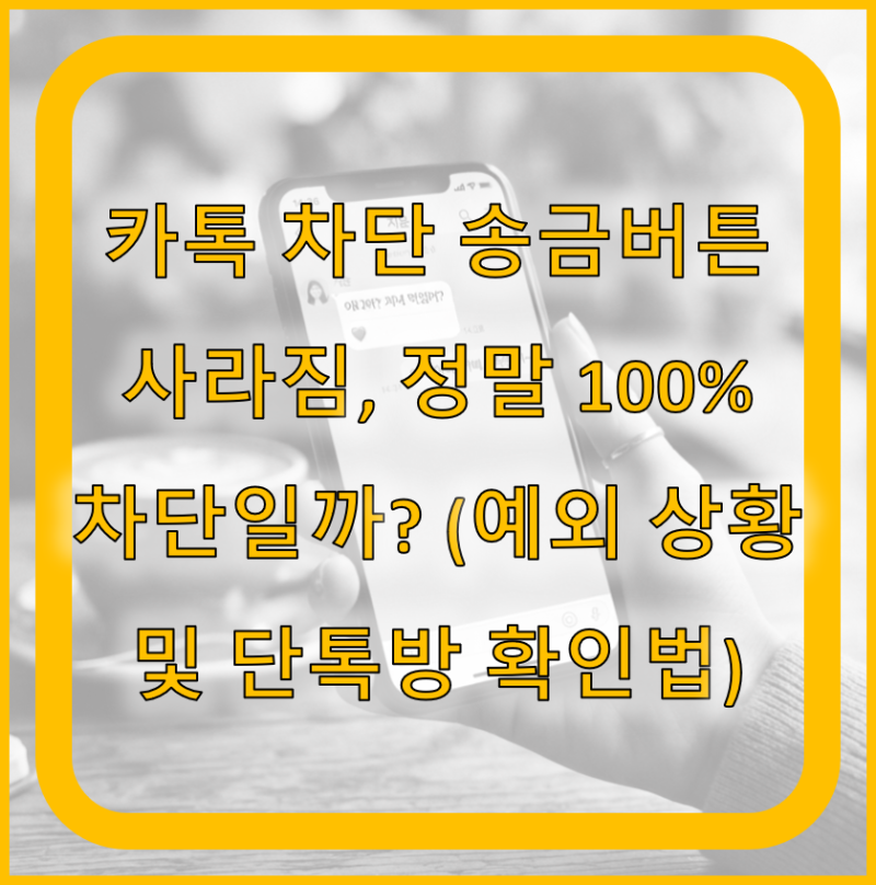 카톡 차단 송금버튼 사라짐, 정말 100% 차단일까? (예외 상황 및 단톡방 확인법)