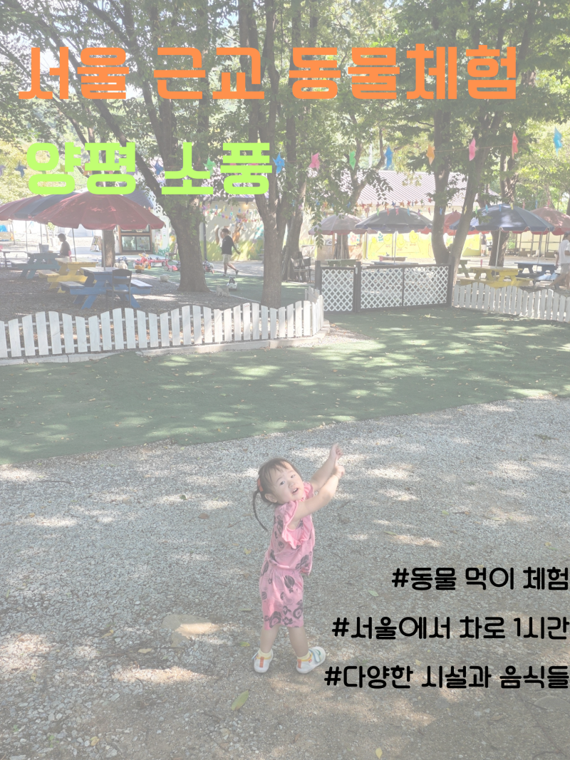 서울근교동물농장 아이와 함께 가기좋았던 양평"소풍"