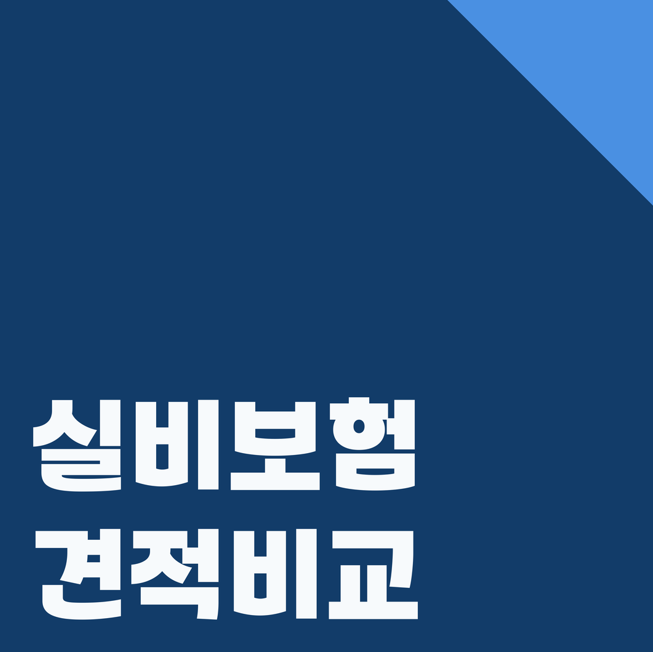실비보험비교사이트에서 가입조건과 보장내용을 알아볼 때 플랜비보험으로 확인할 기준