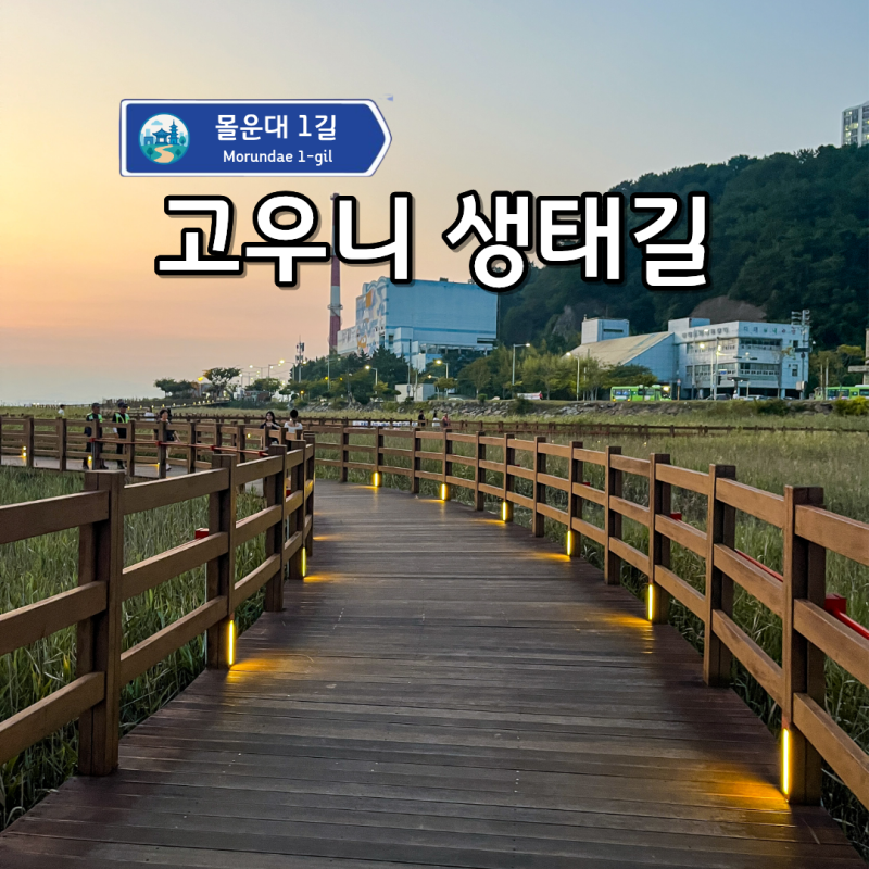 부산 다대포해수욕장 역 바로 옆 노을맛집 "고우니 생태길"