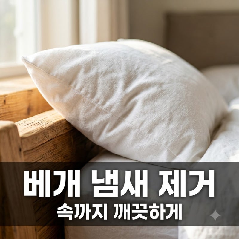 베개 냄새 제거 커버만 빨면 소용없는 이유와 올바른 세탁법
