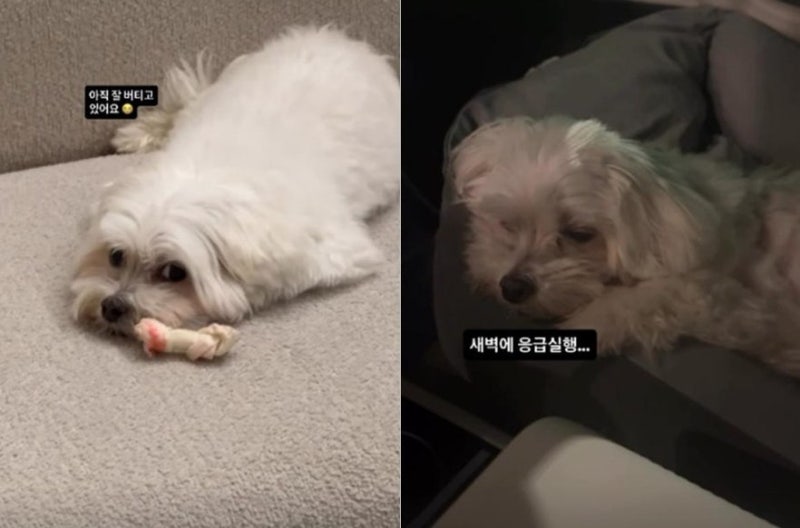 박성광 부부의 새벽 응급실行, 그날 이솔이가 남긴 의미심장한 문장