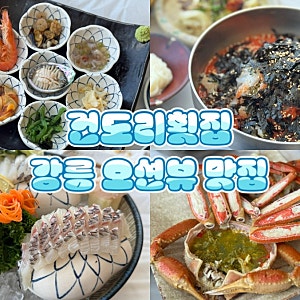 강릉 오션뷰 맛집 안목해변 횟집 건도리횟집 내돈내산 후기