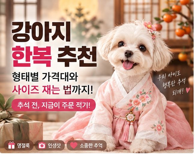 강아지 한복 추천 | 형태별 가격대와 사이즈 재는 법 (추석 전 정리)