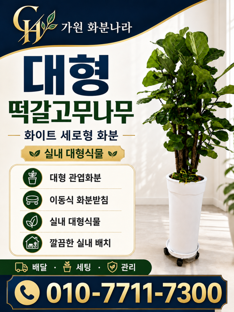 [화성 동탄 출장분갈이]무거운 대형화분도 현장에서 바로작업