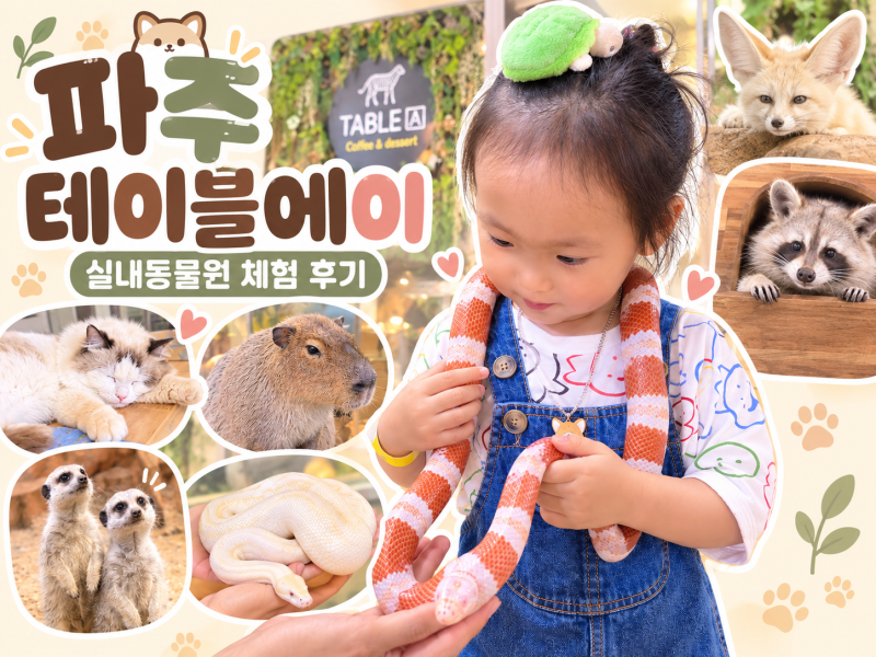 파주 아이와 가볼만한곳 테이블에이 파주점 아기와 실내동물원 체험 후기