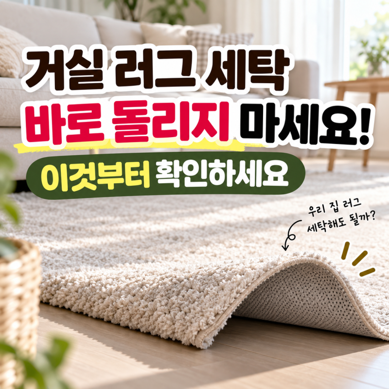 거실 러그 그냥 세탁기에 넣으셨나요?