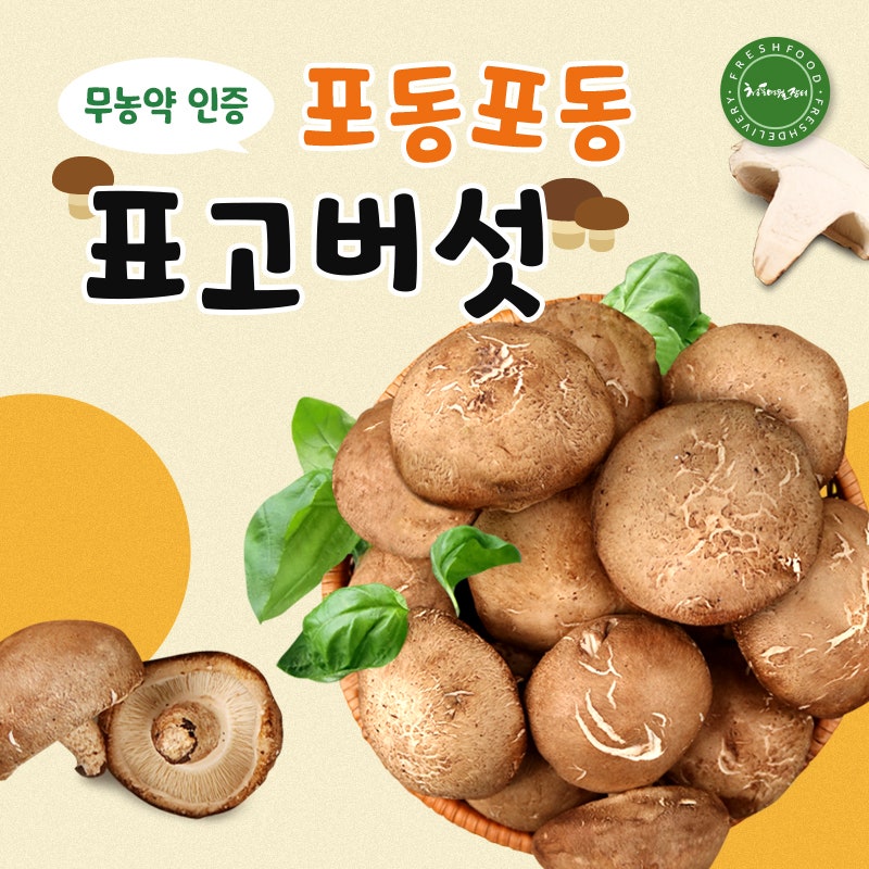 옥천 무농약 표고버섯 1kg(파지), 못생겨도 깊은 맛은 그대로!
