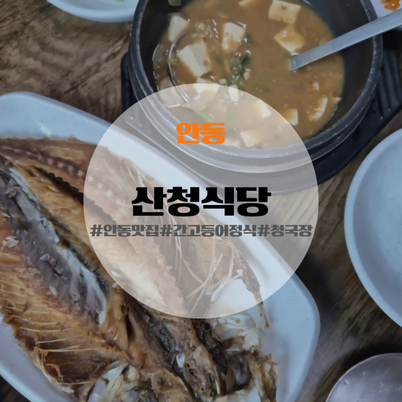 [안동] 안동 간고등어 맛집 산청식당 솔직후기