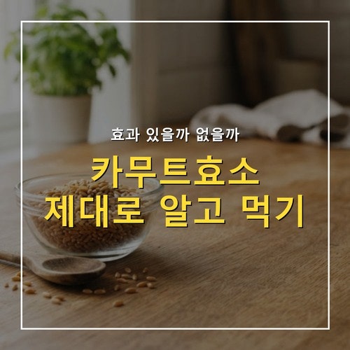 카무트효소 먹는법, 다이어트 효과 있을까? 고르는 기준
