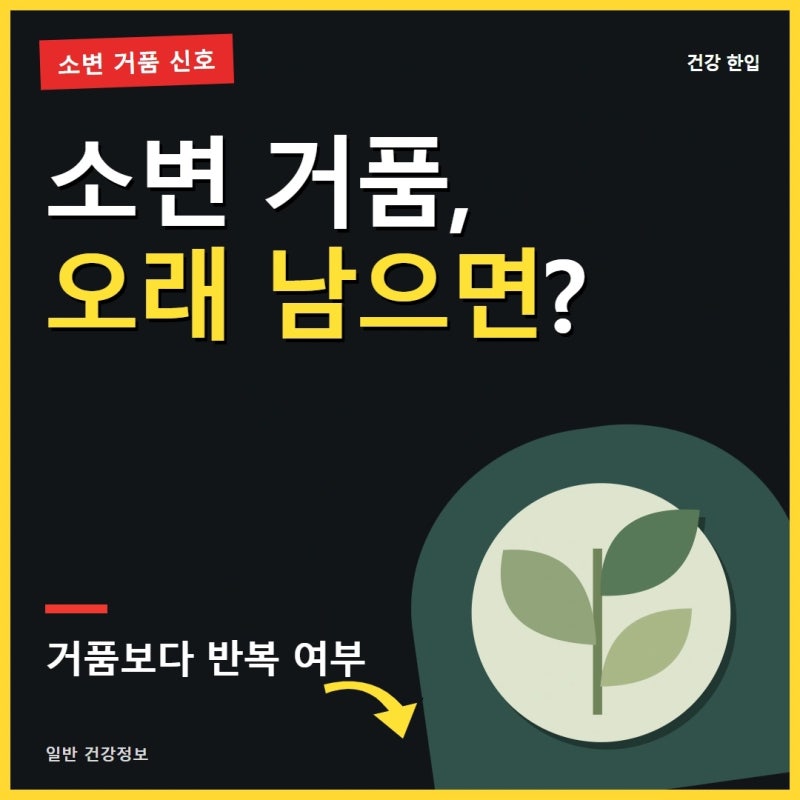 단백뇨 원인과 요단백 수치, 소변 거품이 오래 남으면 확인하세요