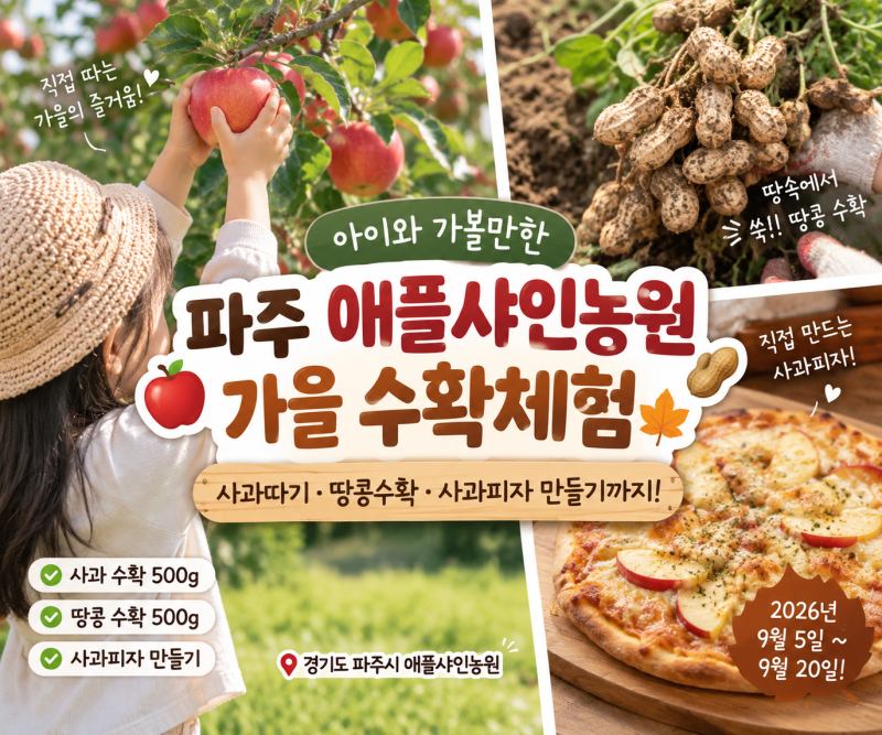 파주 사과따기 체험 애플샤인농원｜2026 사과·땅콩 수확 사과피자 만들기