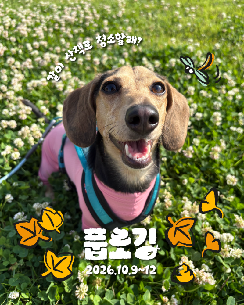 2026 빌리스벳 풉로깅 구성품 소개!