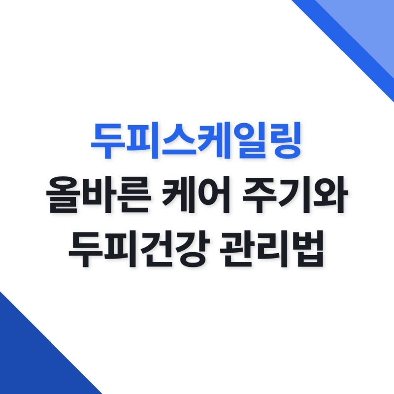 두피스케일링 올바른 케어 주기와 두피건강 관리법