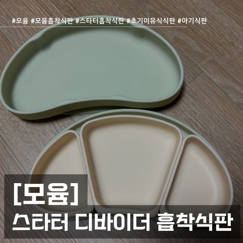 어느 식탁에나 착! 붙어 사용하기 편한 모윰 스타터 디바이더 흡착식판 후기
