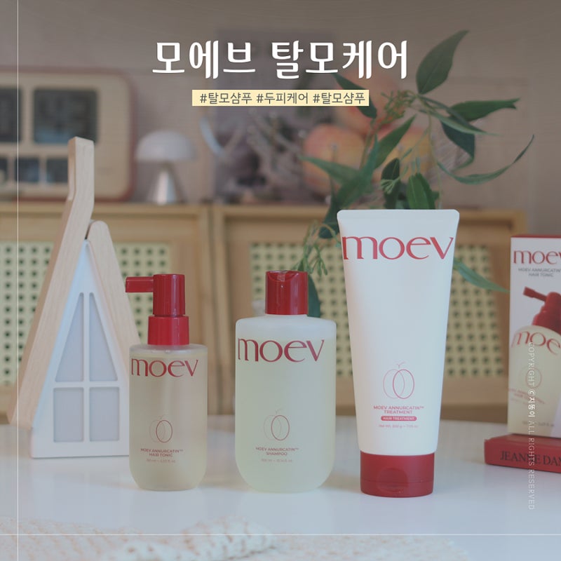 손태진 유튜브에 소개된 모에브 탈모케어 샴푸 트리트먼트 헤어토닉